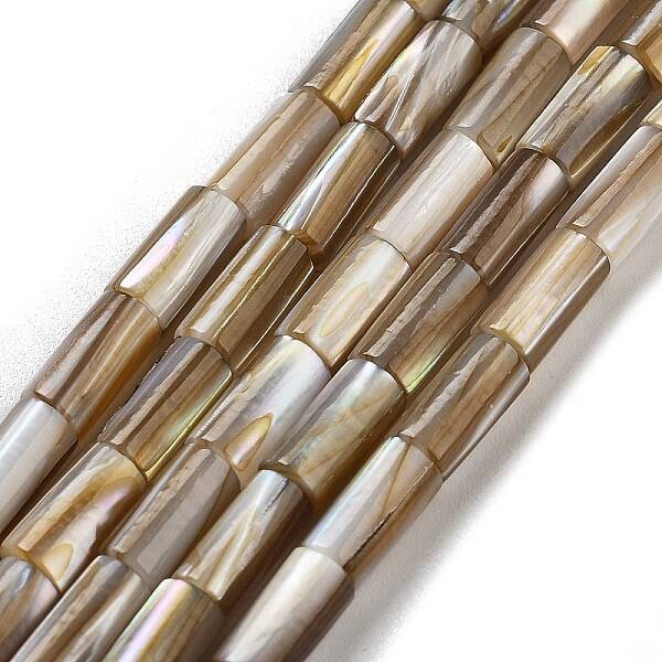 Natural Freshwater Shell Beads Strands