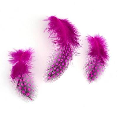 Chicken Feather Costume Accessories