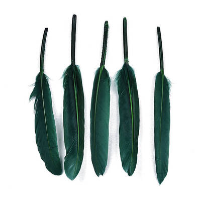 Goose Feather Costume Accessories