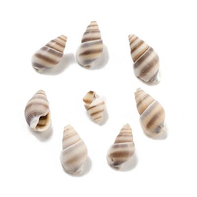 Natural Spiral Shell Beads
