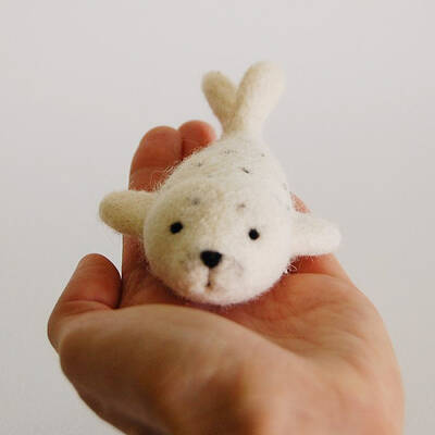 Dolphin Wool Felt Needle Felting Kit with Instructions