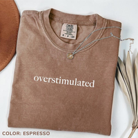 Comfort Colors Overstimulated TShirt for Mom, Cowboy Frog T-Shirt, Unhinged TShirt, Weirdcore Clothing, Gen Z Tee, Weird Stuf...