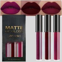 Dark Red Purple Matte Liquid Lipstick Long Lasting 24H Waterproof Lip Stain Maroon Plum Velvet Lip Makeup Set Moisturizer Lip...