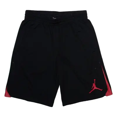 AIR JORDAN Mens Casual Shorts Black M W28