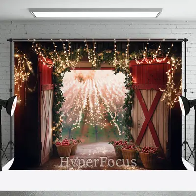 Gold Light Sparkle Open Barn Door Christmas Backdrop - Aperturee