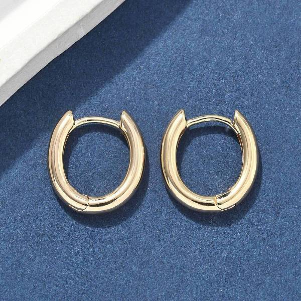 Oval Brass Hoop Earrings