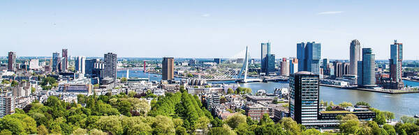 Highlights, History and Hidden Gems: A Rotterdam Walking Tour