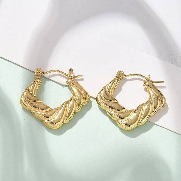 304 Stainless Steel Hoop Earrings for Women