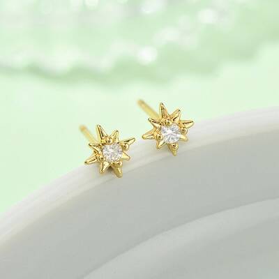 Star Brass Micro Pave Clear Cubic Zirconin Stud Earrings