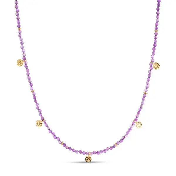 Eva Amethyst Reversible Necklace with gold discs