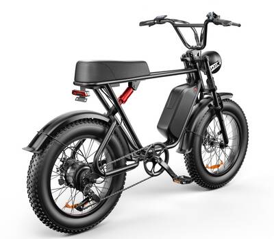 Electric Bicycle Dual Motor Ebike Mountain Bike MTB Off Road