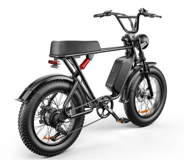 Electric Bicycle Dual Motor Ebike Mountain Bike MTB Off Road