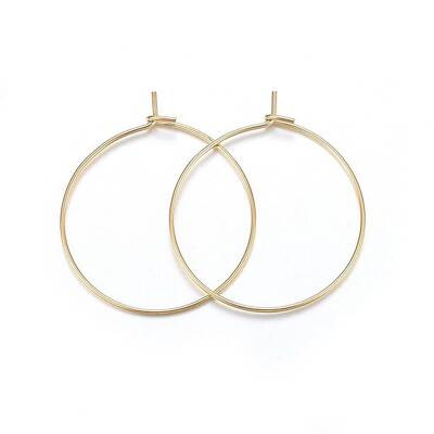 316 Surgical Stainless Steel Hoop Earrings