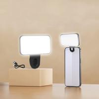 Portable Clip-on Fill Light, Mini Adjustable Light with Clip, Portable Fill Light for Phone, Camera, Laptop, USB Rechargeable...