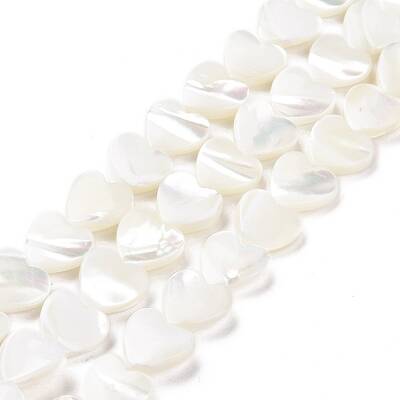 Natural Trochus Shell Beads Strands
