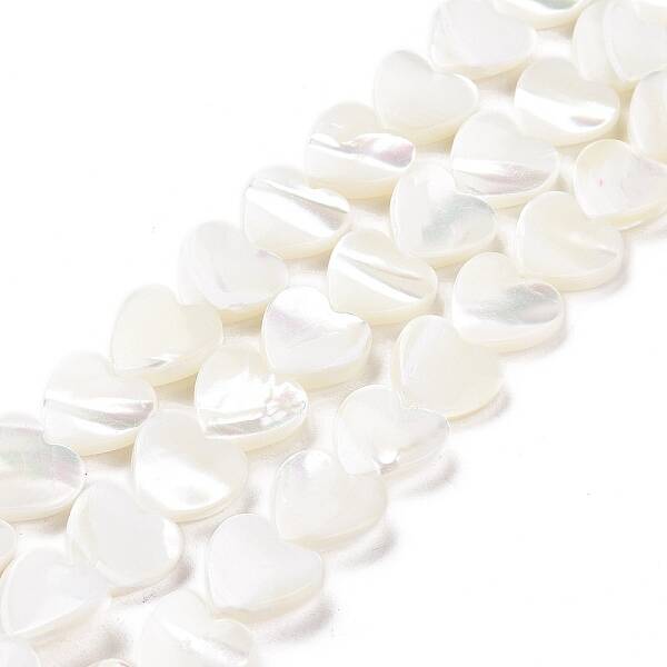 Natural Trochus Shell Beads Strands