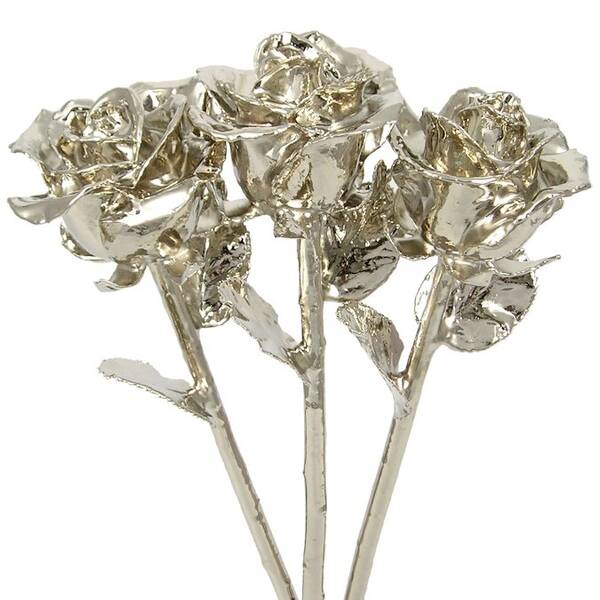 3 Past, Present, Future 11 Platinum Dipped Roses
