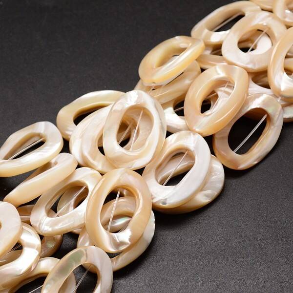 Natural Trochid Shell/Trochus Shell Beads Strands