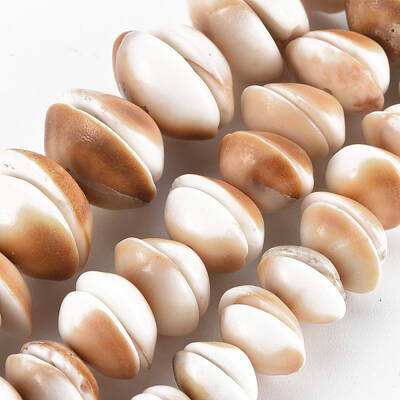 Natural Shell Beads Strands