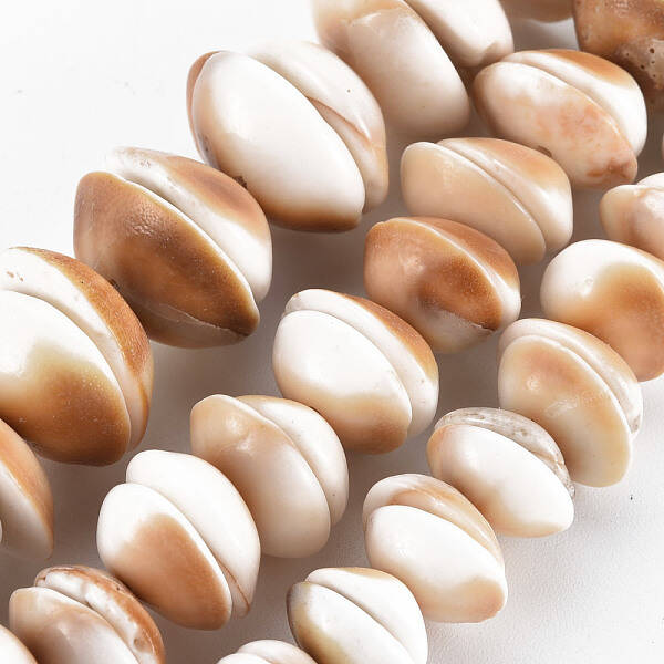Natural Shell Beads Strands