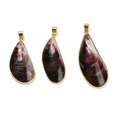 Natural Shell Pendants