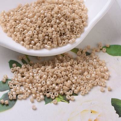 MIYUKI Delica Beads