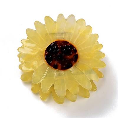 Cellulose Acetate(Resin) Claw Hair Clips