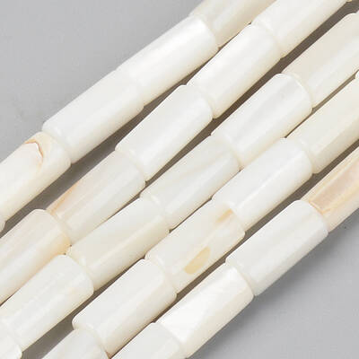 Natural Freshwater Shell Beads Strands