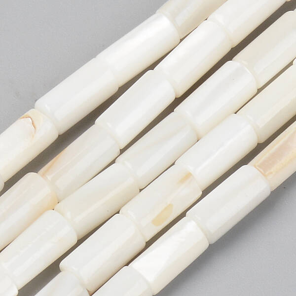 Natural Freshwater Shell Beads Strands