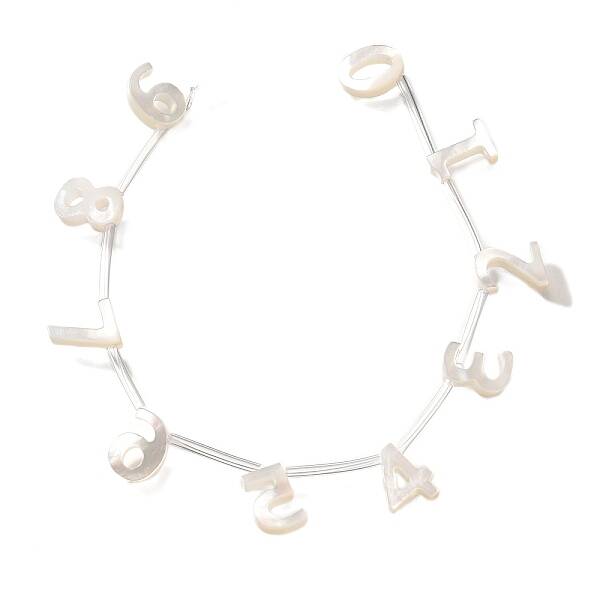 10Pcs 10 Styles Natural Freshwater Shell Beads