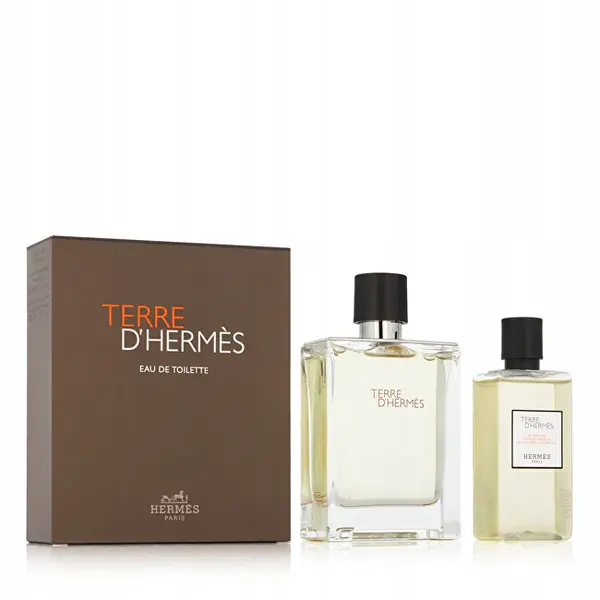 Hermes Terre D´ Hermes - EDT 100 ml + shower gel 80 ml