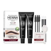 2 In 1 Eyelash & Eyebrow Dye Kit, 1 Set Long Lasting Eyelash & Eyebrow Dye Kit, Professional Makeup Kit For Women, Christmas ...