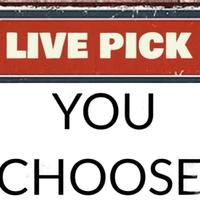 Live Pick Build Your Box 3D Printed Articulating Dragons, Yetis, Dinos, Turtles - Customizable Design for Fun and Crafting Or...