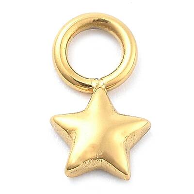 Ion Plating(IP) 304 Stainless Steel Charms