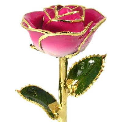 24k Gold Trimmed Rose: 11 Pink and Cream Rose