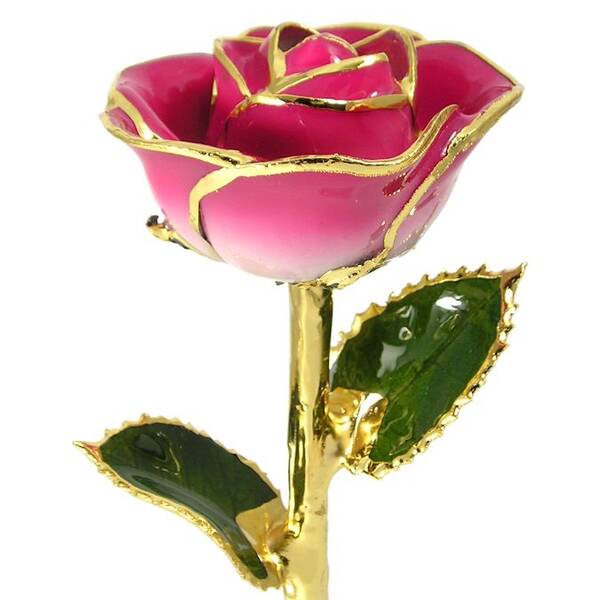 24k Gold Trimmed Rose: 11 Pink and Cream Rose