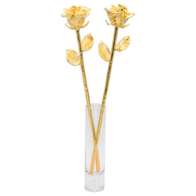 2 Real 17 Anniversary Roses Dipped in Gold with Vase
