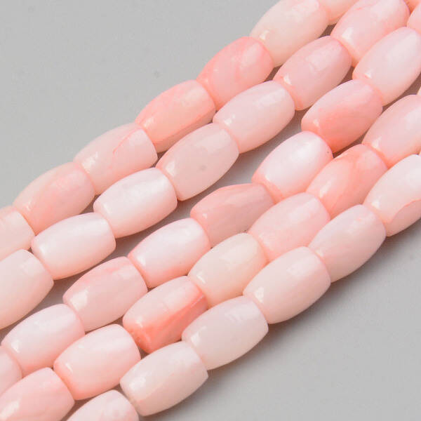 Natural Freshwater Shell Beads Strand