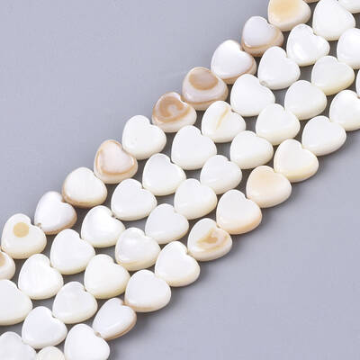 Natural Trochid Shell/Trochus Shell Bead Strands