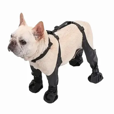 Durable Dog Shoes, Adjustable Pet Boots, Pet Paw Protectors, Dog Shoes for Outdoor Activities, Pet Supplies for Small, Medium...
