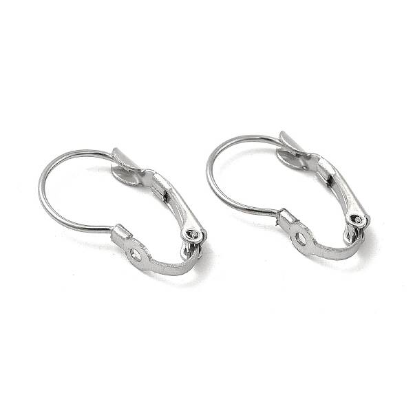 Non-Tarnish 316 Surgical Stainless Steel Leverback Earring Findings