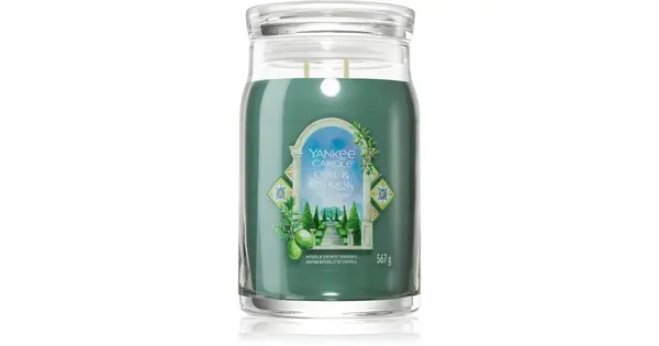 Yankee Candle Olive & Cypress Scented Candle 567g