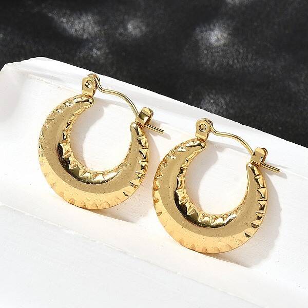 304 Stainless Steel Hoop Earrings for Women