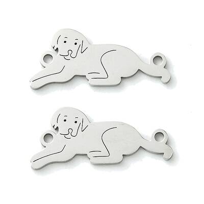 Non-Tarnish 201 Stainless Steel Connector Charms