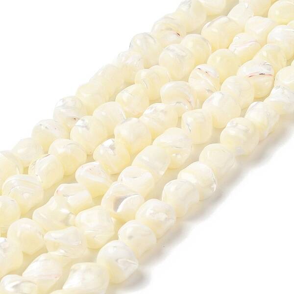 Natural Trochid Shell/Trochus Shell Beads Strands