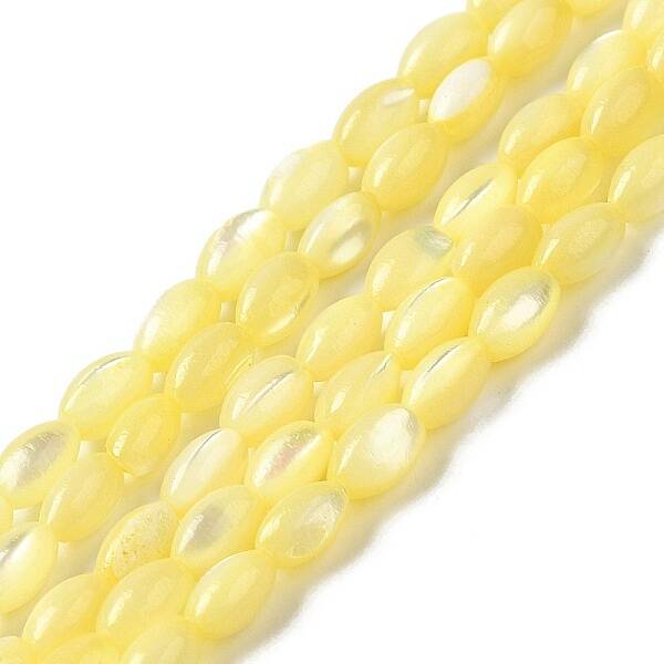 Natural Trochus Shell Beads Strands