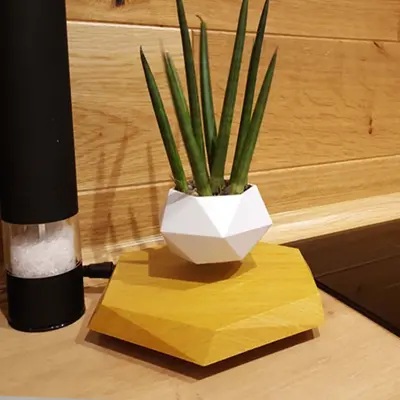Floating Magnetic Levitating Flower Pot Bonsai Air Plant Pot Planter Potted For Home Office Desk Decor Creative Gift | style:...
