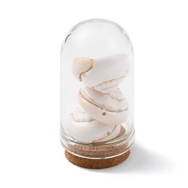Glass Dome Bottle Display Decorations