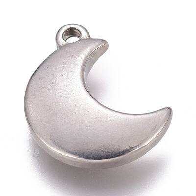 Tarnish Resistant 304 Stainless Steel Charms