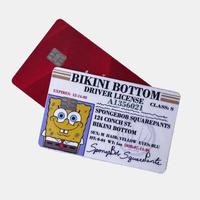 Spongebob Driver License Credit Card Decal